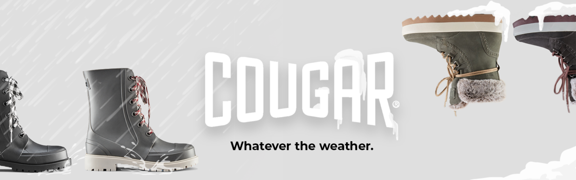 cougar banner